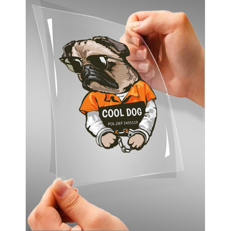 Cool Dog A4 StickZing